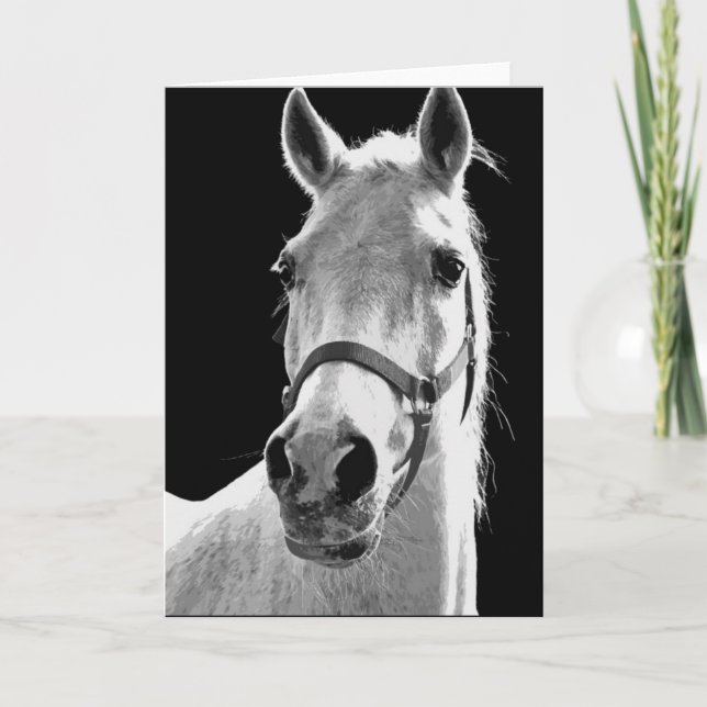 Close-up Black White Horse in Night Card (Front)