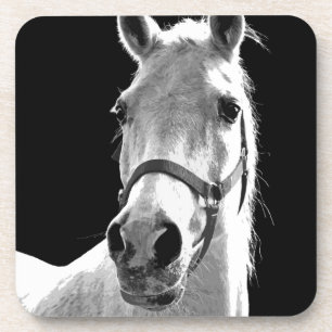 Close-up Black White Horse in Night Coaster