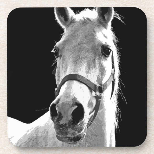 Close-up Black White Horse in Night Coaster (Front)