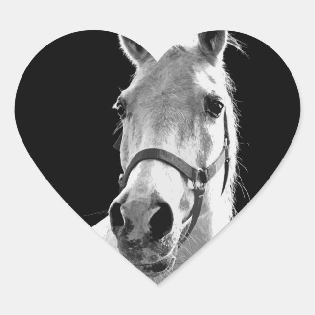 Close-up Black White Horse in Night Heart Sticker (Front)