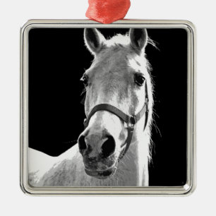 Close-up Black White Horse in Night Metal Ornament