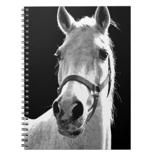 Close-up Black White Horse in Night Notebook