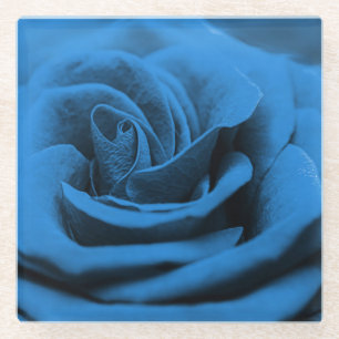 Close-up blue red rose, macro beauty. glass coaster