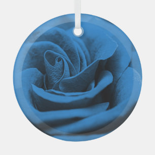 Close-up blue red rose, macro beauty. glass ornament