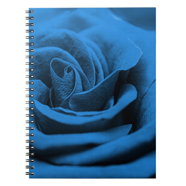 Close-up blue red rose, macro beauty. notebook (Front)