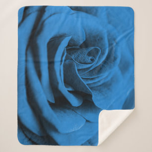 Close-up blue red rose, macro beauty. sherpa blanket