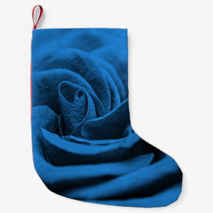 Close-up blue red rose, macro beauty. small christmas stocking