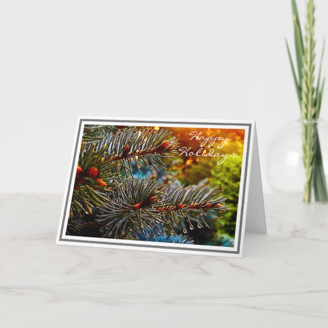 Close-up Blue Spruce Branches with Water Droplets Card (Front)