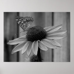 Close Up Butterfly Poster