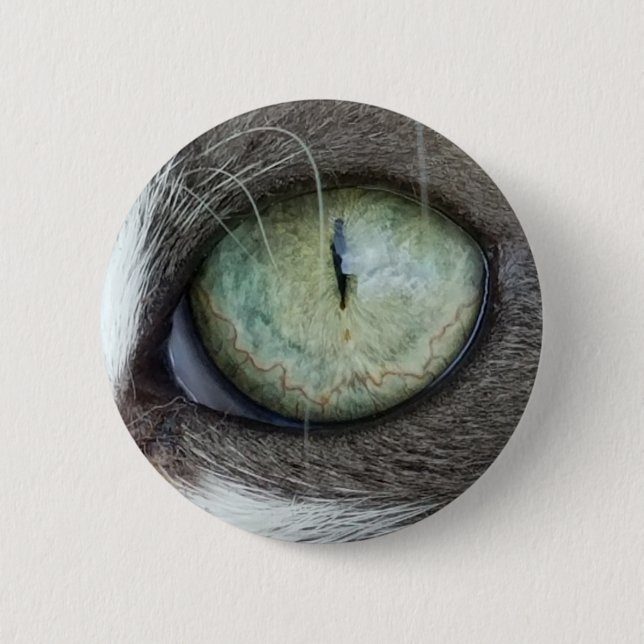 Close Up Cat's Eye 2 Inch Round Button (Front)