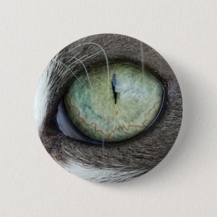 Close Up Cat's Eye 2 Inch Round Button