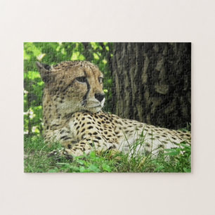 Close-up Cheetah Jigsaw Puzzle