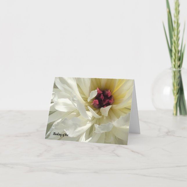 Close up Creamy White Peony Flower Sympathy Card (Front)