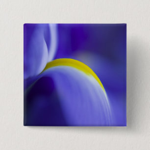 Close-up detail of a Blue Flag iris. 2 Inch Square Button