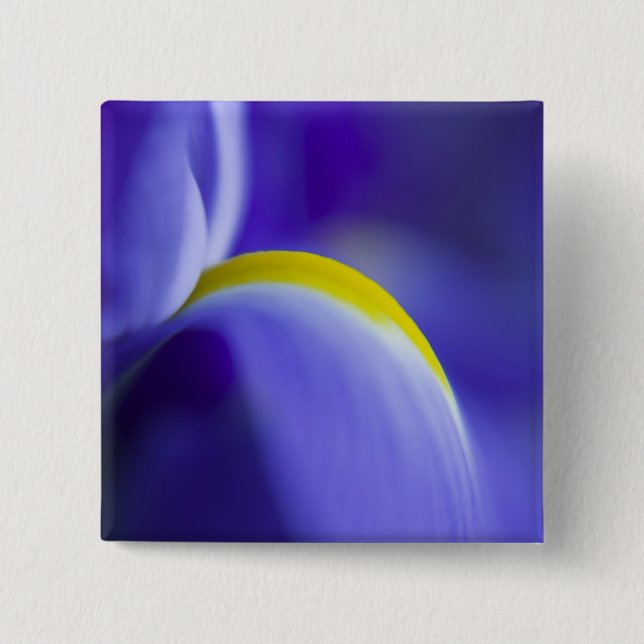 Close-up detail of a Blue Flag iris. 2 Inch Square Button (Front)