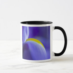 Close-up detail of a Blue Flag iris. Mug