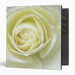 Close up details of white rose binder