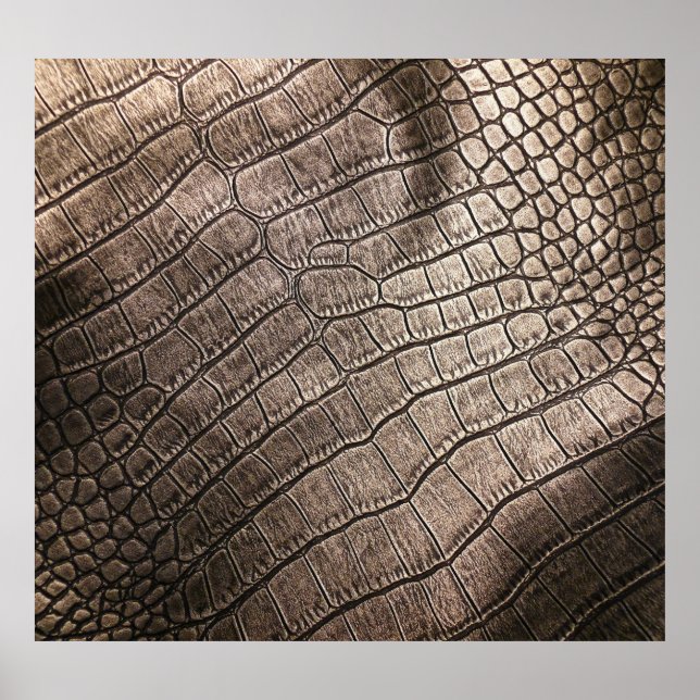 Close-Up Elegant Leather: Textured Pattern Poster (Front)