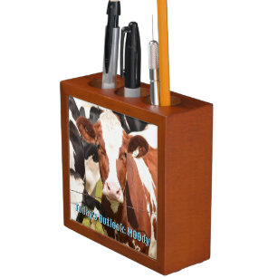 Close-up Face of Red, White Holstein Dairy Cow Desk Organizer