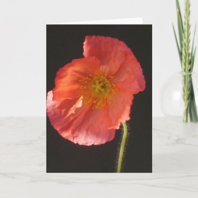 Close Up Flower Blank Greeting Card (Front)