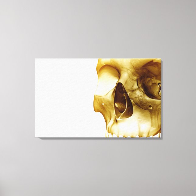 Close up frontal view of the brain inside a skull canvas print (Front)