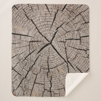 Close up gray background texture of old weathered  sherpa blanket