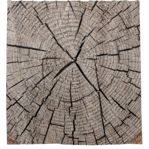 Close up grey background texture of old weathered 