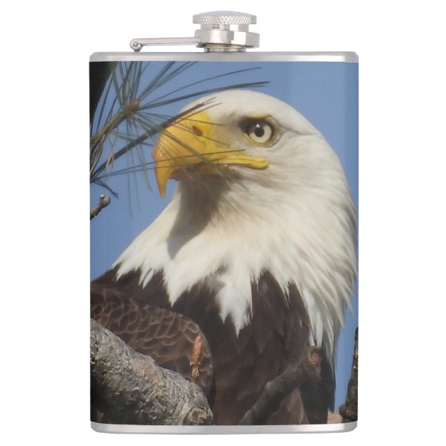 Close Up Head Shot of Bald Eagle Hip Flask (Front)