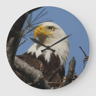 Close Up Head Shot of Bald Eagle Large Clock