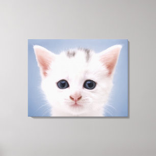 Close up image of a predominately white faced canvas print
