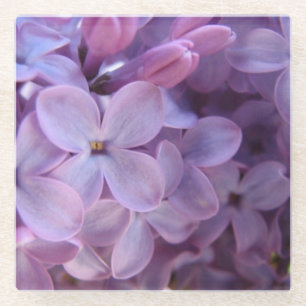 close up lilacs glass coaster