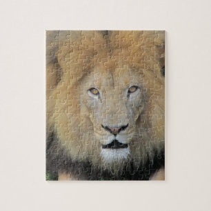Close-up Lion Jigsaw Puzzle