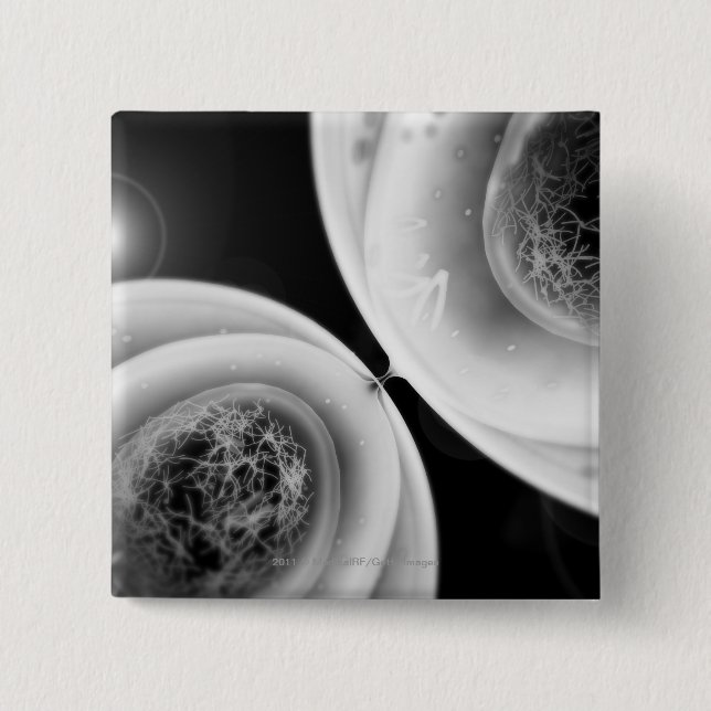 Close up look at cell division 2 inch square button (Front)