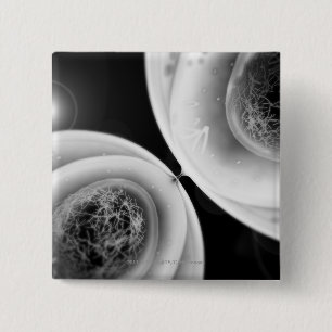 Close up look at cell division 2 inch square button