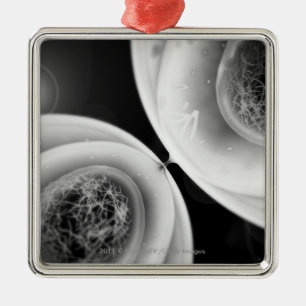 Close up look at cell division metal ornament