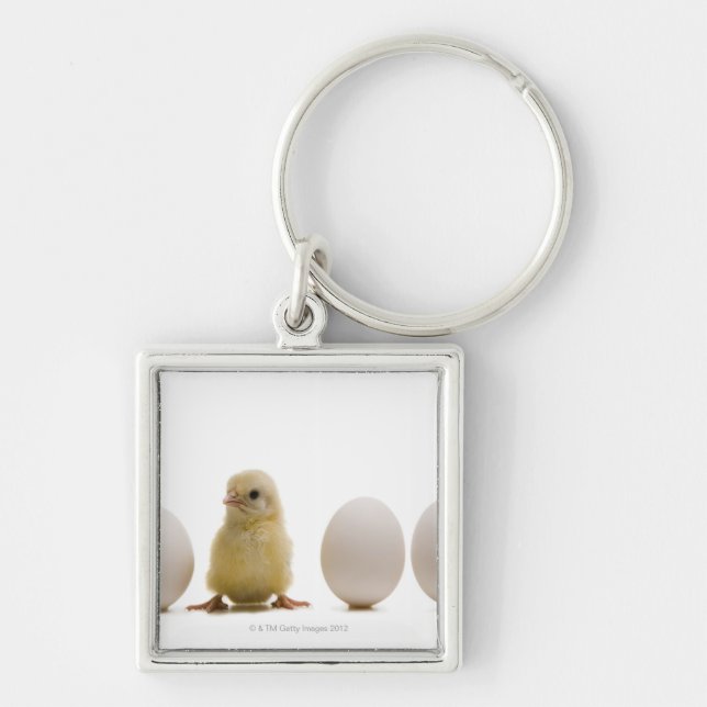Close-up of a baby chick with three eggs keychain (Front)