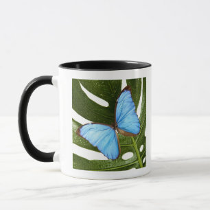 Close up of a Blue Morpho Butterfly on a palm Mug