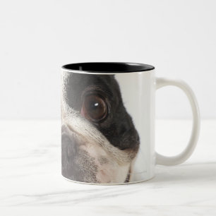 Close-up of a Boston Terrier Two-Tone Coffee Mug