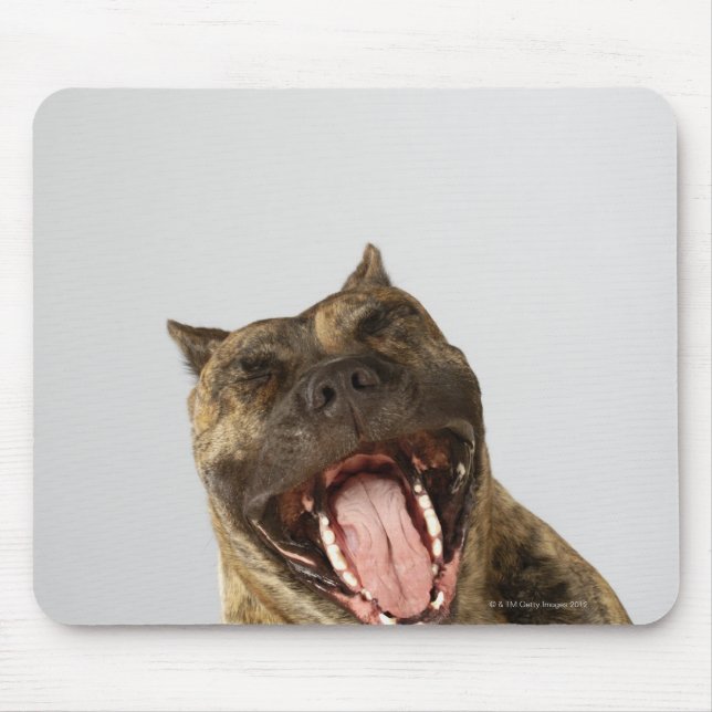 Close-up of a Boxer with its mouth open Mouse Pad (Front)
