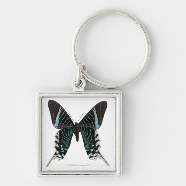 Close-up of a butterfly keychain (Front)