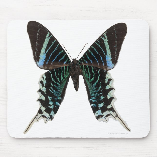 Close-up of a butterfly mouse pad (Front)