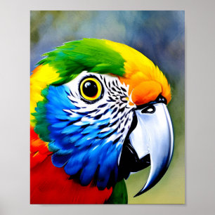 Close up of a colorful parrot's face bird poster