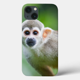 Close-up of a Common Squirrel Monkey iPhone 13 Case