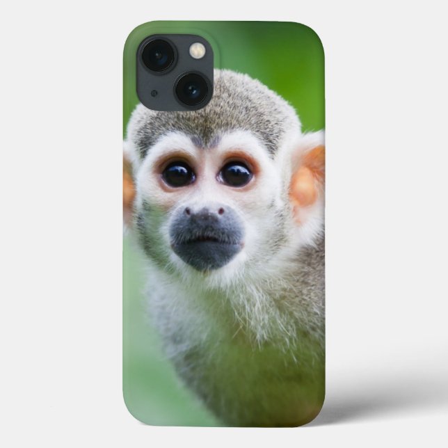 Close-up of a Common Squirrel Monkey Case-Mate iPhone Case (Back)