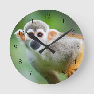 Close-up of a Common Squirrel Monkey Round Clock