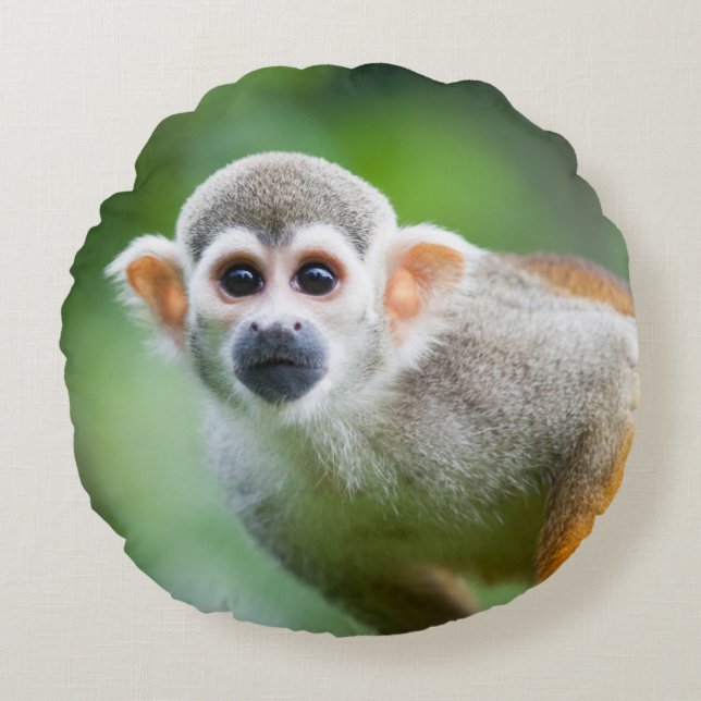 Close-up of a Common Squirrel Monkey Round Pillow (Front)
