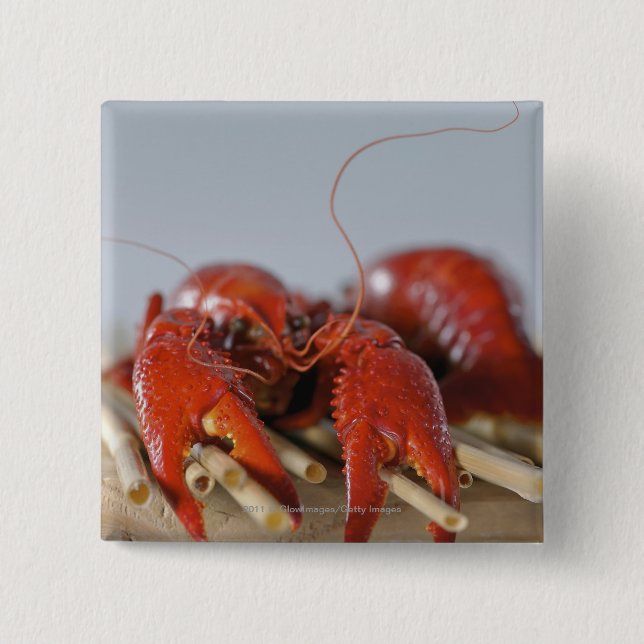 Close-up of a crab on sticks 2 inch square button (Front)