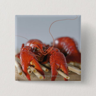 Close-up of a crab on sticks 2 inch square button