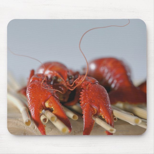 Close-up of a crab on sticks mouse pad (Front)