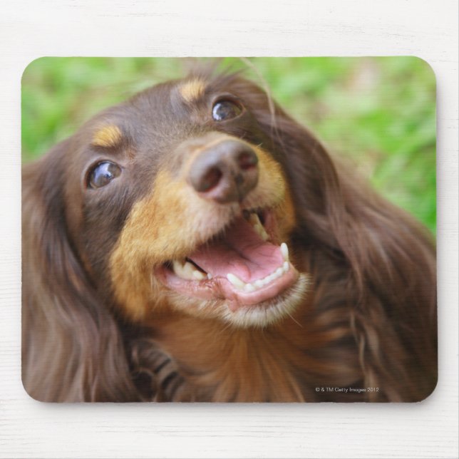 Close-up of a Dachshund dog Mouse Pad (Front)